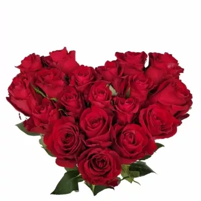 Srdce z růží malé EVER RED 50cm