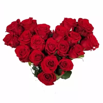 Srdce z ruží malé RED EAGLE 90cm