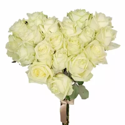 Srdce z růží malé WHITE NAOMI! 60cm