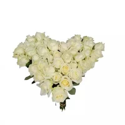 Srdce z růží velké AVALANCHE+ 50cm