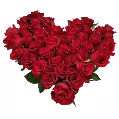 Srdce z růží velké EVER RED 55cm