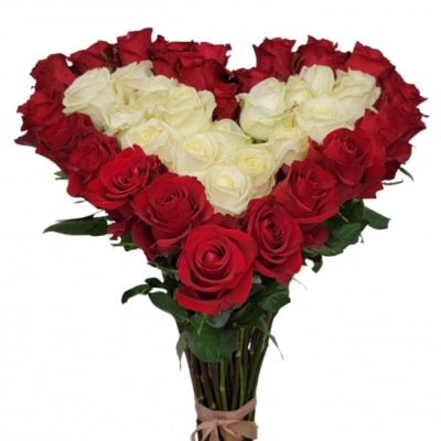 Srdce z růží velké GEORGIA