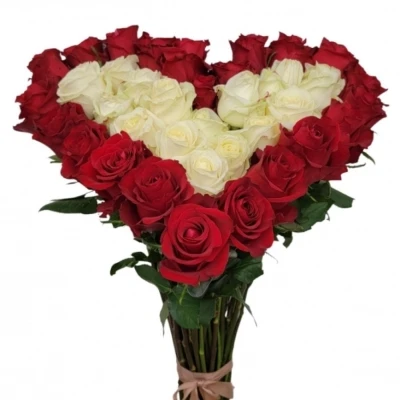 Srdce z růží velké GEORGIA