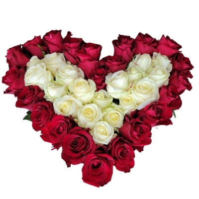 Srdce z růží velké GEORGIA