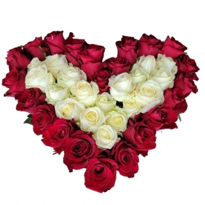 Srdce z růží velké GEORGIA 50cm