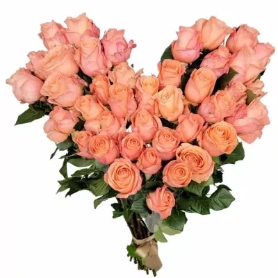 Srdce z růží velké LADY MARGARET 60cm
