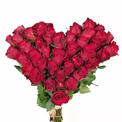 Srdce z růží velké MADAM RED 50cm
