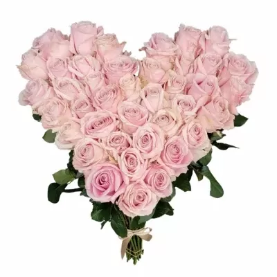Srdce z růží velké PINK AVALANCHE+ 60cm
