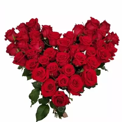 Srdce z růží velké RED EAGLE 50cm