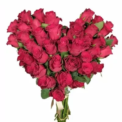 Srdce z ruží veľké RHODOS 50cm