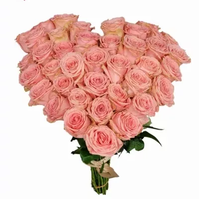 Srdce z růží velké SOPHIA LOREN 55cm