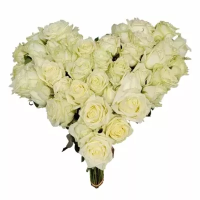 Srdce z růží velké WHITE NAOMI! 60cm
