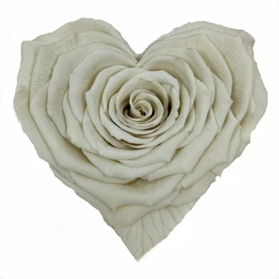 Stabilizovaná bílá růže tvaru srdce 4ks