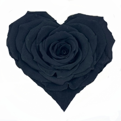 Stabilizovaná černá růže tvaru srdce 4ks