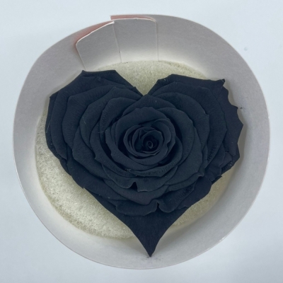 Stabilizovaná černá růže tvaru srdce 4ks