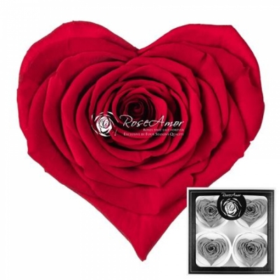 Stabilizovaná sametově červená růže tvaru srdce 4ks