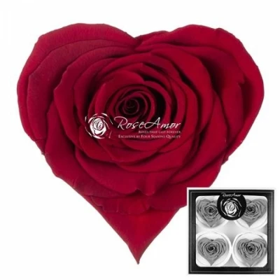 Stabilizovaná červená růže tvaru srdce 4ks