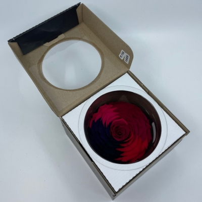 Stabilizovaná duhová červená růže v krabičce XXL
