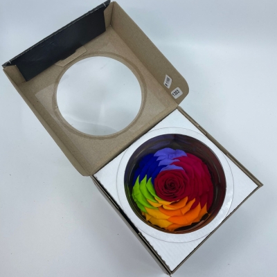 Stabilizovaná duhová růže v krabičce XXL