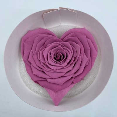 Stabilizovaná fialová růže tvaru srdce 4ks