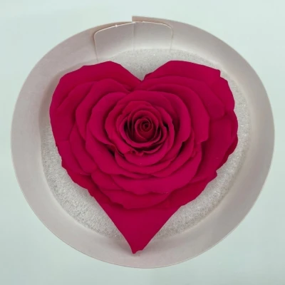 Stabilizovaná karmínově červená růže tvaru srdce 4ks