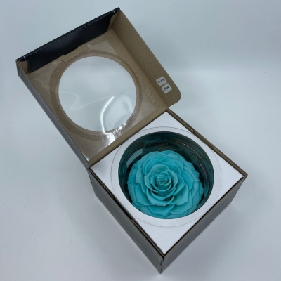 Stabilizovaná ledově modrá růže plnokvětá v krabičce