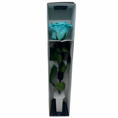 Stabilizovaná modrá růže na stonku 30cm