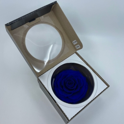 Stabilizovaná modrá růže plnokvětá v krabičce