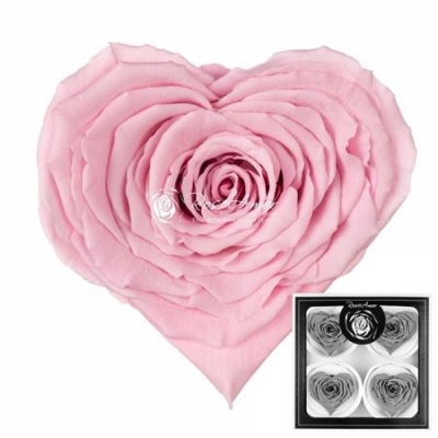 Stabilizovaná růžová růže tvaru srdce 4ks