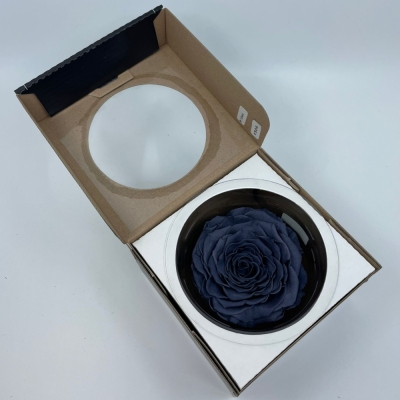 Stabilizovaná šedá růže v krabičce XXL
