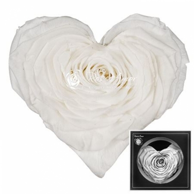 Stabilizovaná sněhově bílá růže tvaru srdce