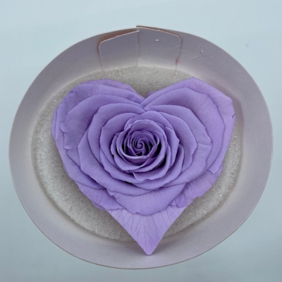 Stabilizovaná světle fialová růže tvaru srdce 4ks