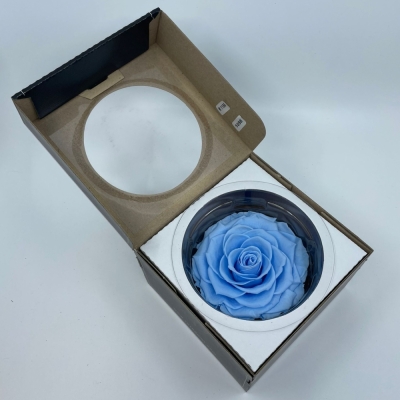 Stabilizovaná světle modrá růže plnokvětá v krabičce