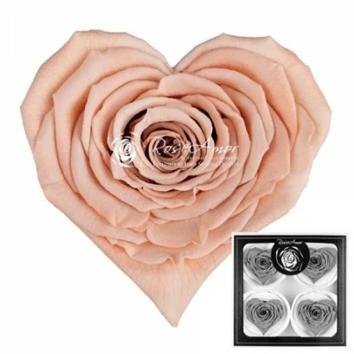 Stabilizovaná světle oranžová růže tvaru srdce 4ks