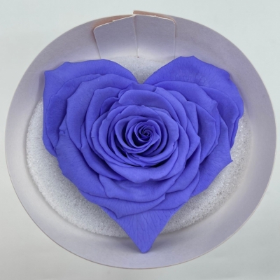 Stabilizovaná tmavě fialová růže tvaru srdce 4ks