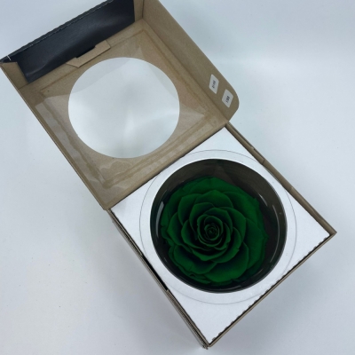 Stabilizovaná tmavě zelená růže plnokvětá v krabičce