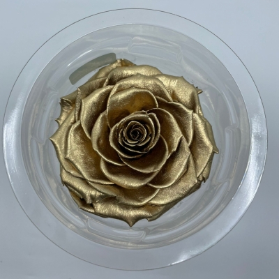 Stabilizovaná zlatá růže v krabičce