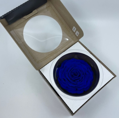 Stabilizovanámodrá růže v krabičce XXL