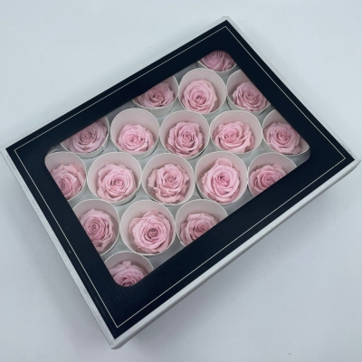 Stabilizované  růžové růže v krabičce 18ks