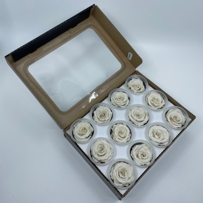 Stabilizované bílé růže v krabičce 12ks