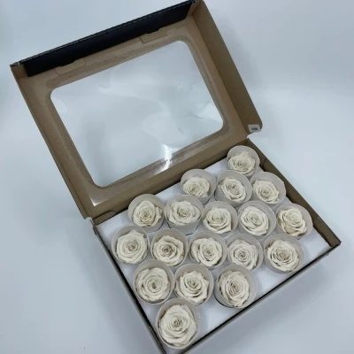 Stabilizované bílé růže v krabičce 18ks