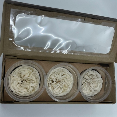 Stabilizované bílé růže v krabičce 3ks