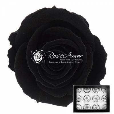 Stabilizované černé růže v krabičce 12ks