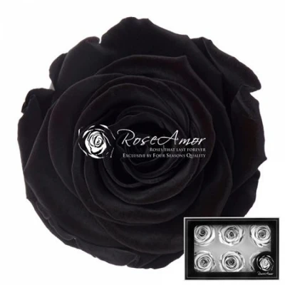 Stabilizované černé růže v krabičce 6ks