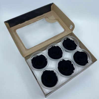 Stabilizované černé růže v krabičce 6ks