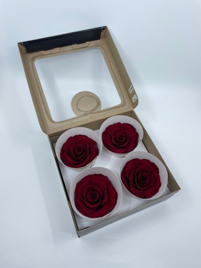 Stabilizované červené růže v krabičce 4ks