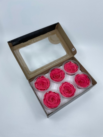 Stabilizované červené růže v krabičce 6ks