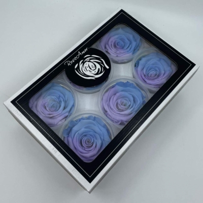 Stabilizované duhové modro-fialové růže XL v krabičce 6ks
