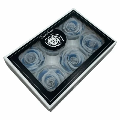 Stabilizované duhové růže blue lagoon plus v krabičce 6ks