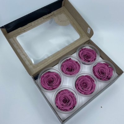 Stabilizované fialové růže v krabičce 6ks